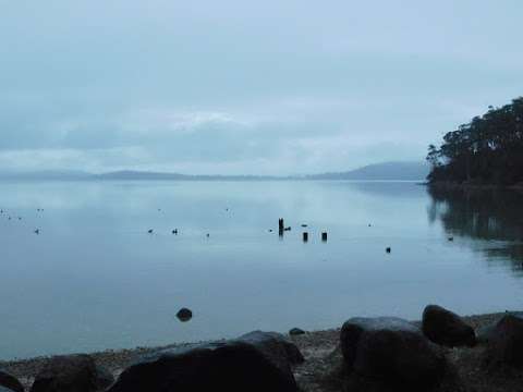 Photo: Mortimer Bay Reserve